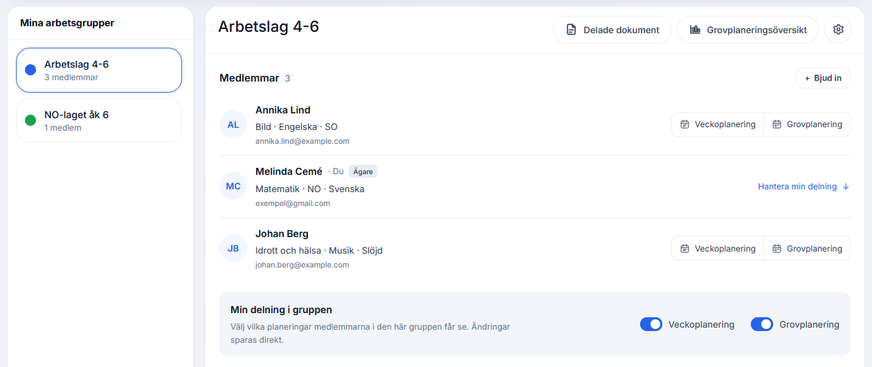 Arbetsgrupp med tre påhittade medlemmar, ämnesnamn och delning av planering